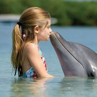 Ольга Перцева