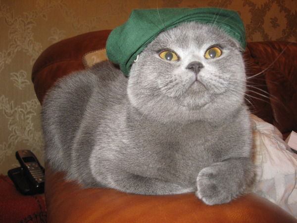 Марина Еленевская