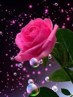 Айжан Бекмаганбетова