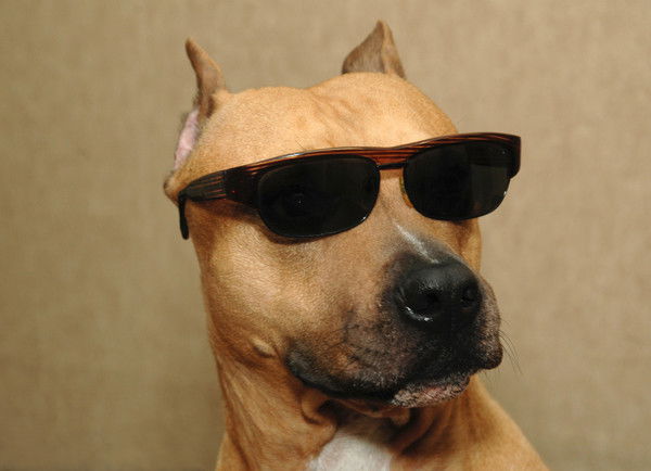 Александр Щепетин