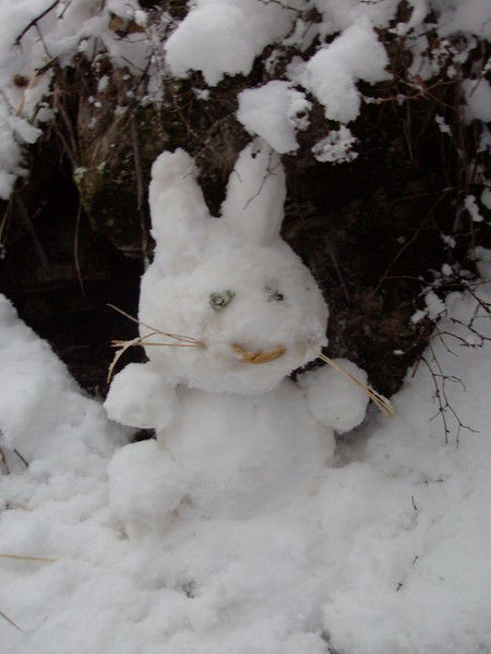 Юлиан Лекаторчук