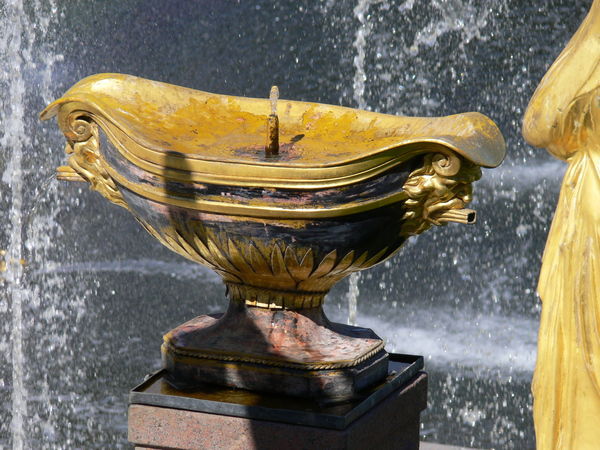 Анна Рыбакова