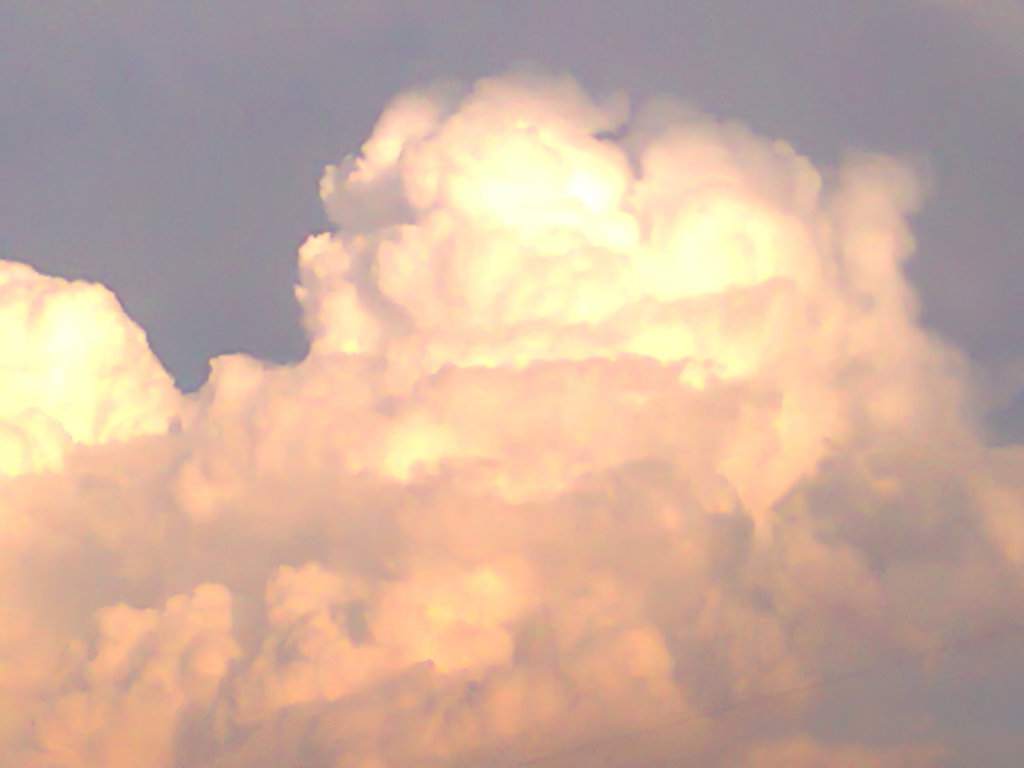 Катя Селивёрстова