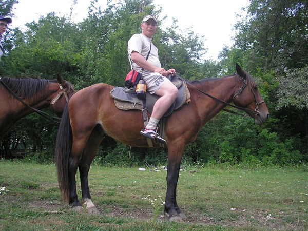 Сергей Михайлов