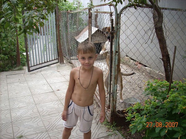 Илья Володин