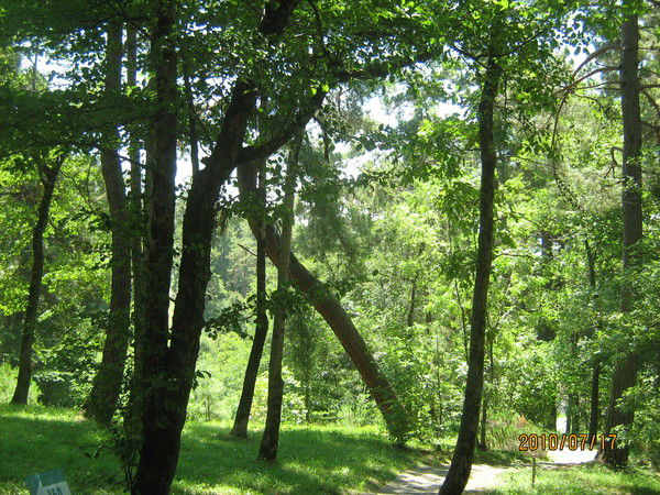 Юлия Князева