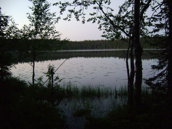 Николай Кузенко