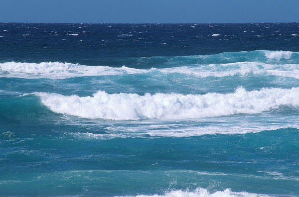 Елена Беляева