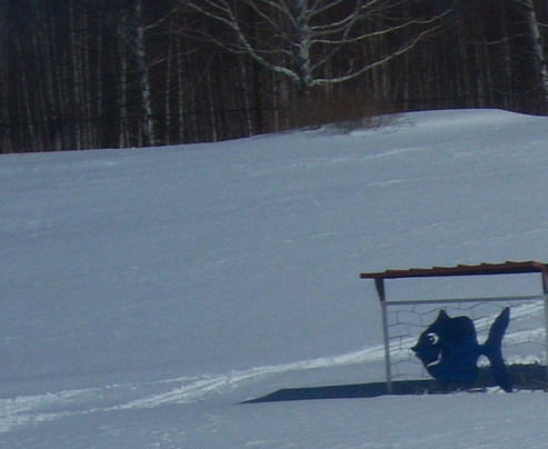 Даниил Гафаров