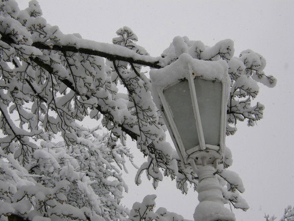 Александр Бенц