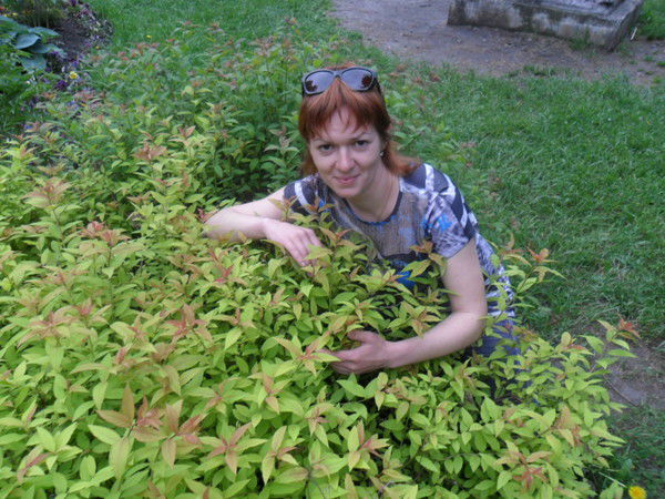 Вера Пашутова