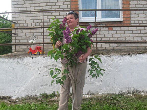 Галина Кулик