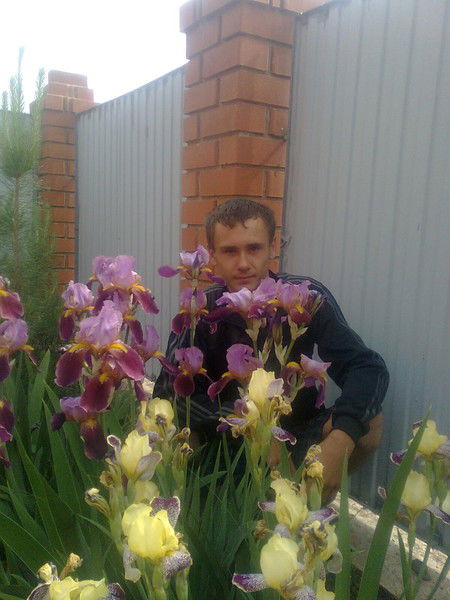 Влад Никишин