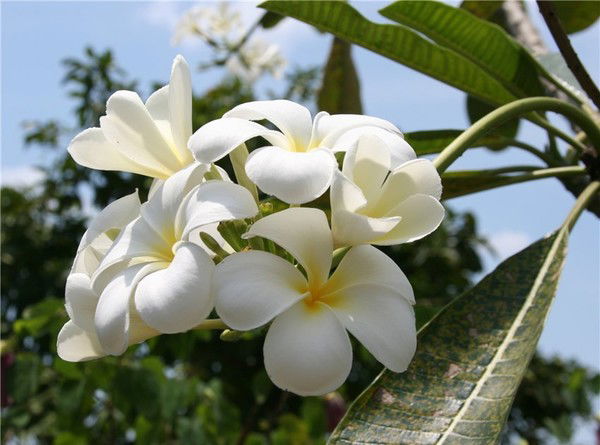 Zhuldyz Dyussembaeva