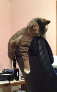 Иван Рябков