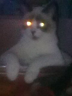 Елена Журкевич-Кимряк