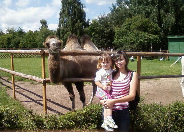 Дарья Шашок