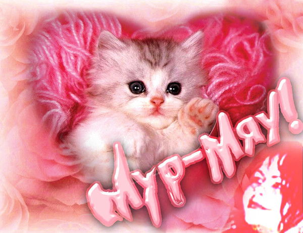 Александра Байда