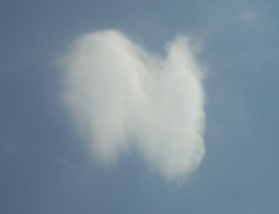 Андрей Федоровский