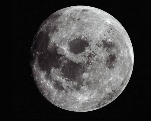 Марина Елизарова