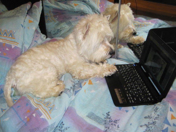 Александр Науменко