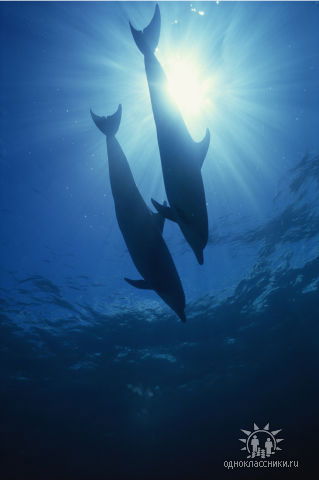 Татьяна Завьялова