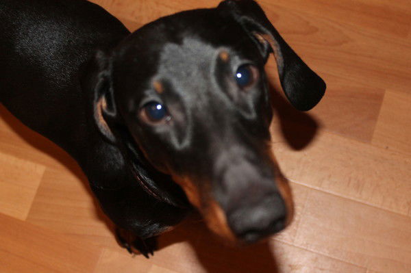 Ярослав Ракутов