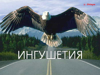 Алла Цуроева