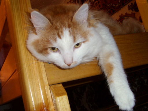 Юлия Ростовская