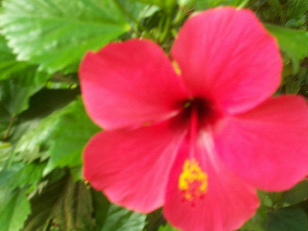 Татьяна Юшкевич