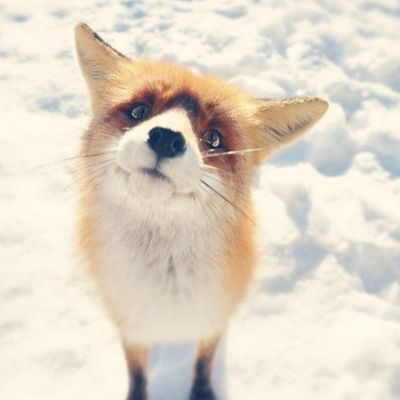 Матвей Бусов