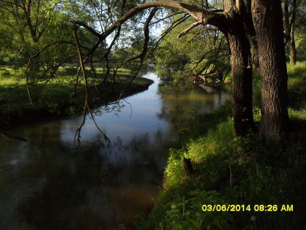 Дмитрий Кузнецов