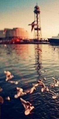 Полина Терехова