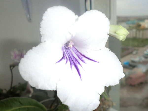 Нурмуханбетова Екатерина