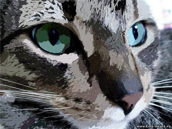 Денис Мочалкин