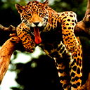 Евгения Кузнецова