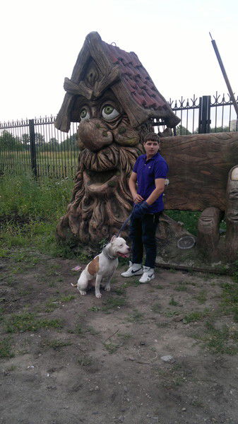 Никита Ткаченко