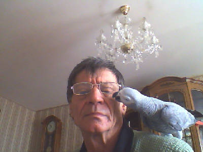 Александр Антонов