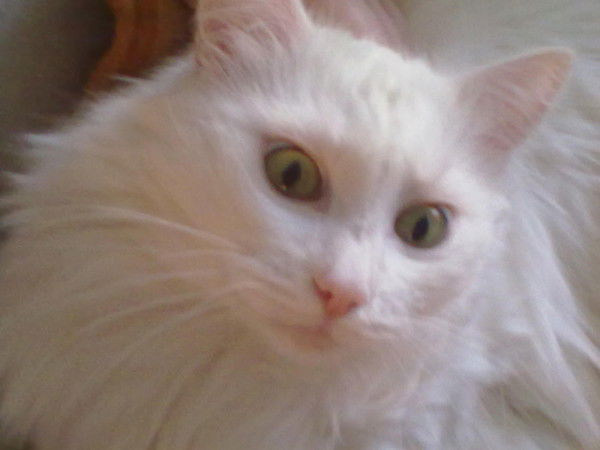 Вадим Мойсейчук