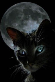 Светлана ***