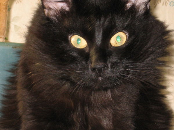 Безрукова Лилия