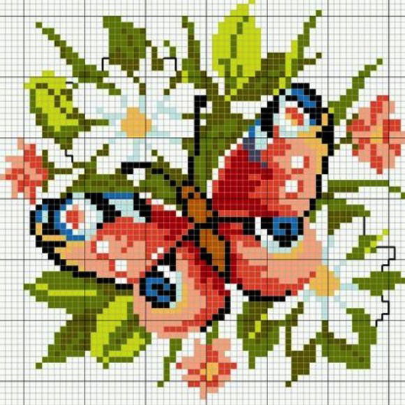 Евгения Кокарева