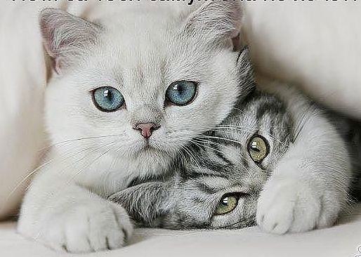 Ирина Бородкина