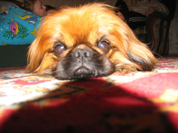 Жанна Дворецкая