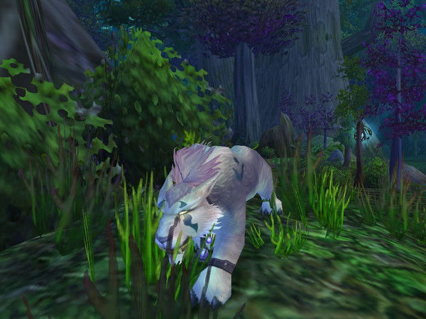 Леня Войщев