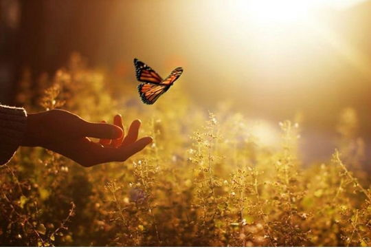 Розалия Жаяубаева