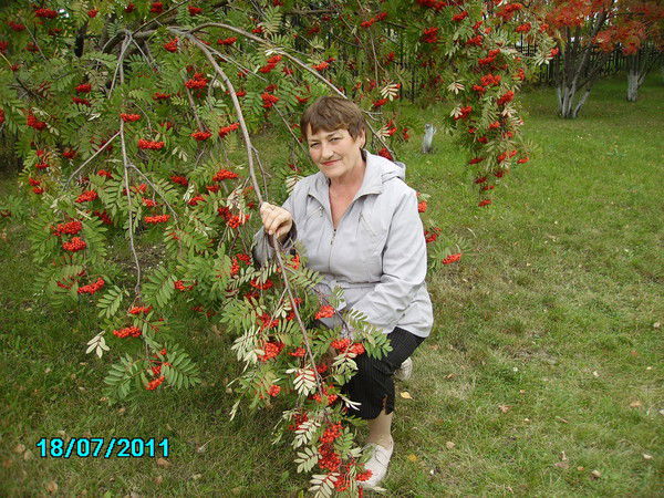 Эльза !!!!!!!!!