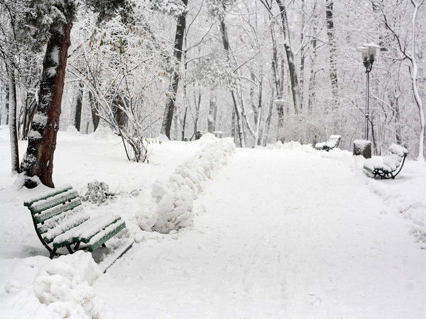 Татьяна Граф