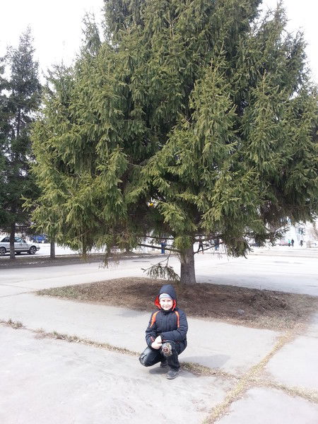 Савелий Княжев