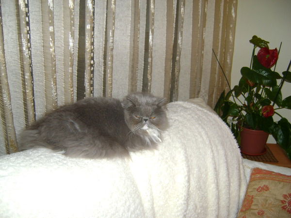 Людмила Ланкина